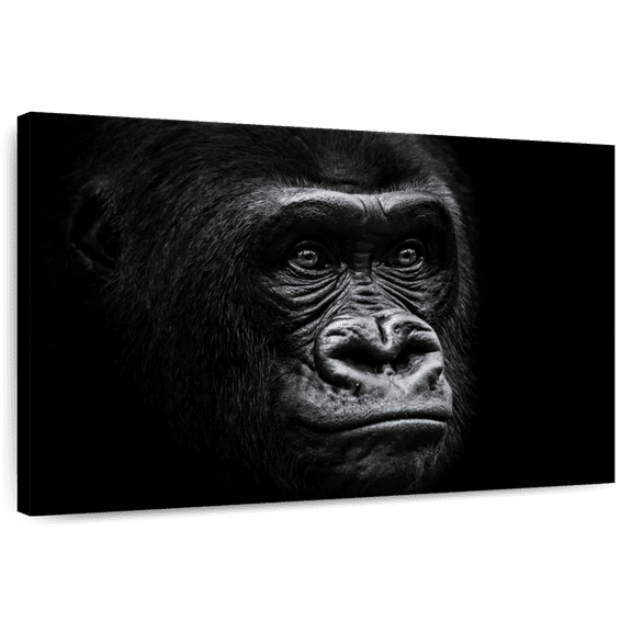 Elephant Stock Gorilla Portrait Close Up Wall Art - Horizontal Canvas Wall Art - Living Room Wall Decor - Animal Canvas - Black And Gray Decor - 51" x 34"