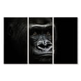 thumbnail image 1 of Elephant Stock Gorilla Portrait Close Up Wall Art - Horizontal Multi Panel Canvas - Living Room Wall Decor - Animal Multi Panel - Black And Gray Decor - 57" x 36", 1 of 4