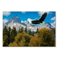 thumbnail image 1 of Elephant Stock Grand Teton Eagle Wall Art - Horizontal Canvas Wall Art - Living Room Wall Decor - Animal Canvas - Blue And Brown Decor - 24" x 16", 1 of 4