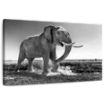 thumbnail image 1 of Elephant Stock Grassland Elephant Wall Art - Horizontal Canvas Wall Art - Living Room Wall Decor - Animal Canvas - Black And White Decor - 12" x 8", 1 of 8