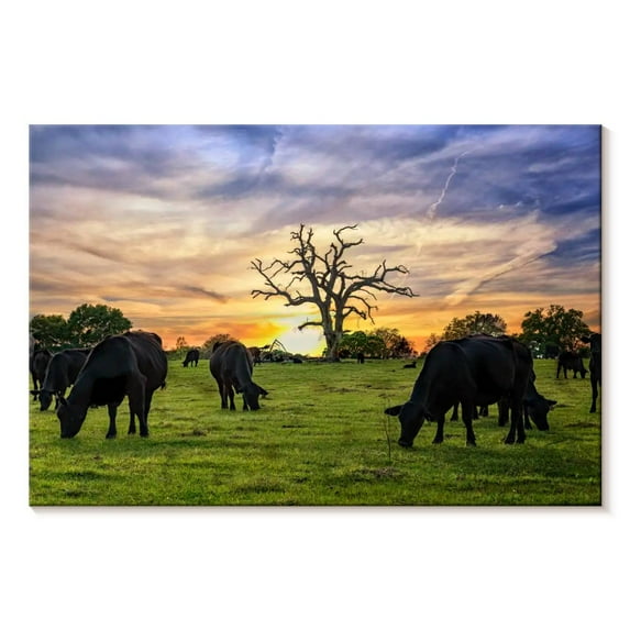 Elephant Stock Grazing Aberdeen Angus Wall Art - Horizontal Canvas Wall Art - Living Room Wall Decor - Animal Canvas - Black And Orange Decor - 36" x 24"
