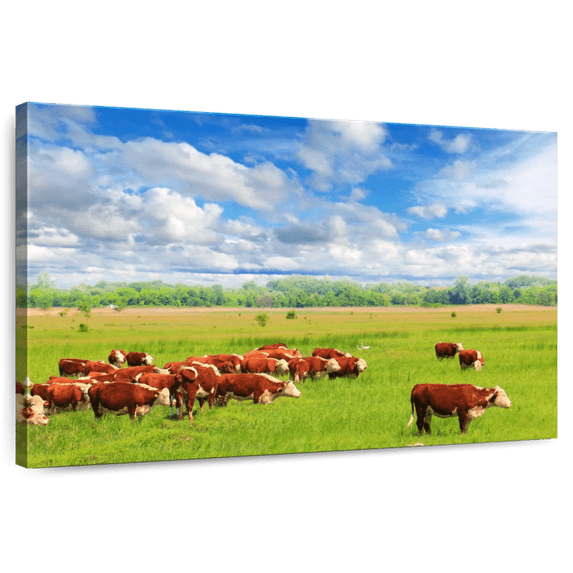 Elephant Stock Grazing Hereford Cows Wall Art - Horizontal Canvas Wall Art - Living Room Wall Decor - Animal Canvas - Beige And Brown Decor - 30" x 20"
