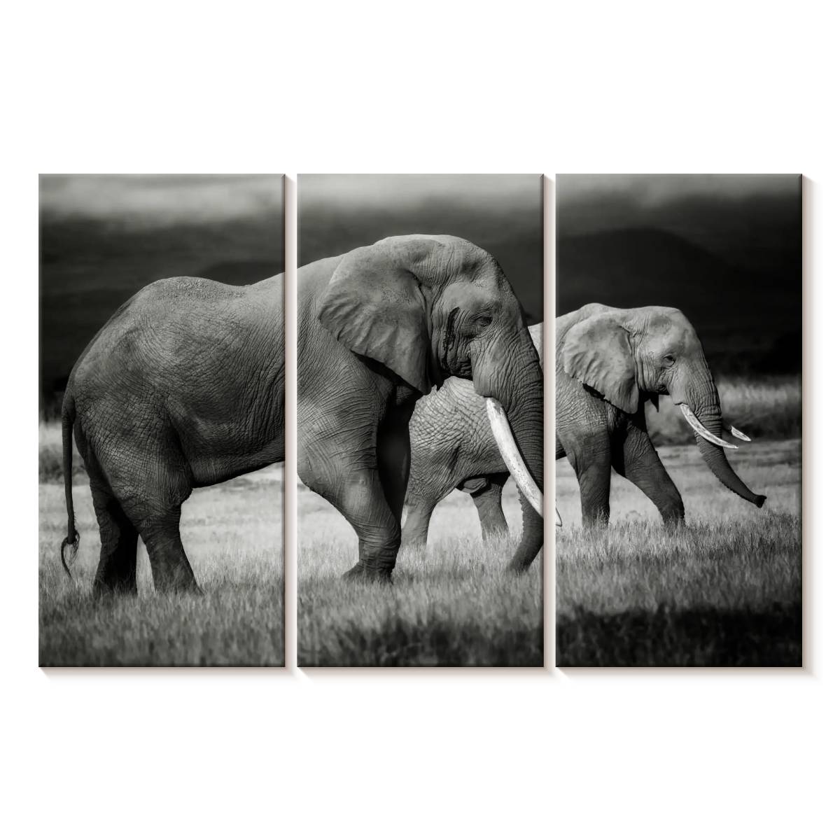 Elephant Stock Grazing Kenyan Elephants Wall Art - Horizontal Multi ...