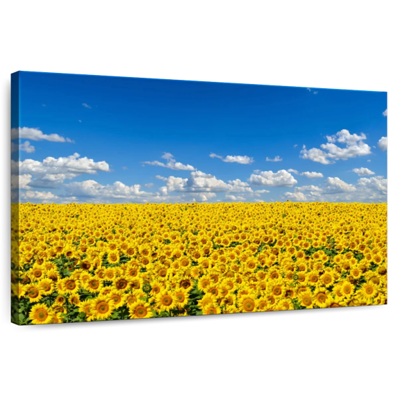 Elephant Stock Great Sunflower Field Wall Art - Horizontal Canvas Wall Art - Living Room Wall Decor - Nature Canvas - Blue And Green Decor - 48" x 32"