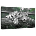 thumbnail image 1 of Elephant Stock Green Eyed Jaguar Wall Art - Horizontal Canvas Wall Art - Bedroom Wall Decor - Animal Canvas - Green And White Decor - 30" x 20", 1 of 4