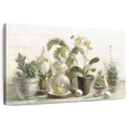 thumbnail image 1 of Elephant Stock Greenhouse Orchids I Wall Art - Horizontal Canvas Wall Art - Living Room Wall Decor - Floral And Botanical Canvas - Beige And Gray Decor By Danhui Nai - 36" x 24", 1 of 8