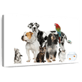 thumbnail image 1 of Elephant Stock Group Of House Pets Wall Art - Horizontal Canvas Wall Art - Living Room Wall Decor - Animal Canvas - White And Gray Decor - 12" x 8", 1 of 8