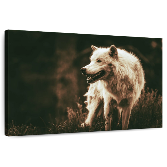 Elephant Stock Growling Alpha Wolf Wall Art - Horizontal Canvas Wall Art - Living Room Wall Decor - Animal Canvas - Black And Brown Decor - 51" x 34"