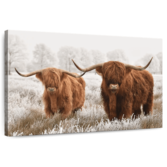 Elephant Stock Hairy Scottish Highland Cows Wall Art - Horizontal Canvas Wall Art - Living Room Wall Decor - Animal Canvas - Beige And Brown Decor - 12" x 8"