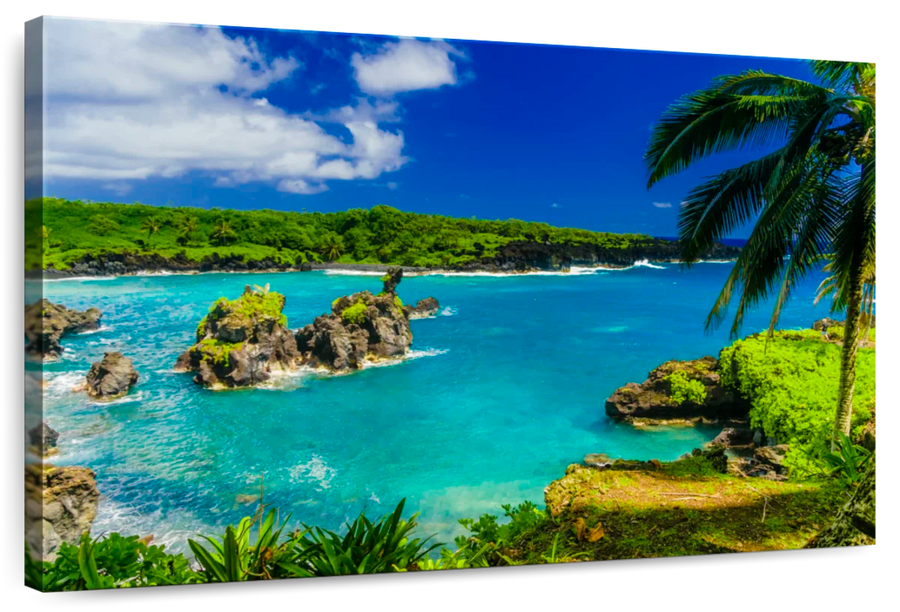 Elephant Stock Hana Beach Wall Art - Horizontal Canvas Wall Art ...
