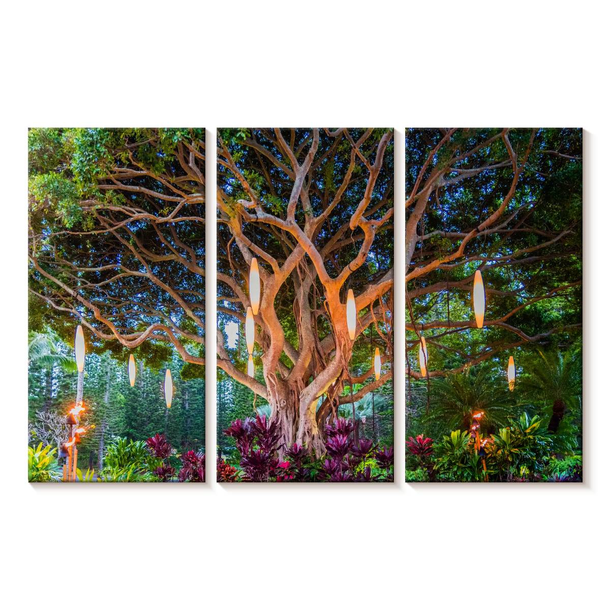 Elephant Stock Hawaiian Banyan Tree Wall Art - Horizontal Multi Panel ...