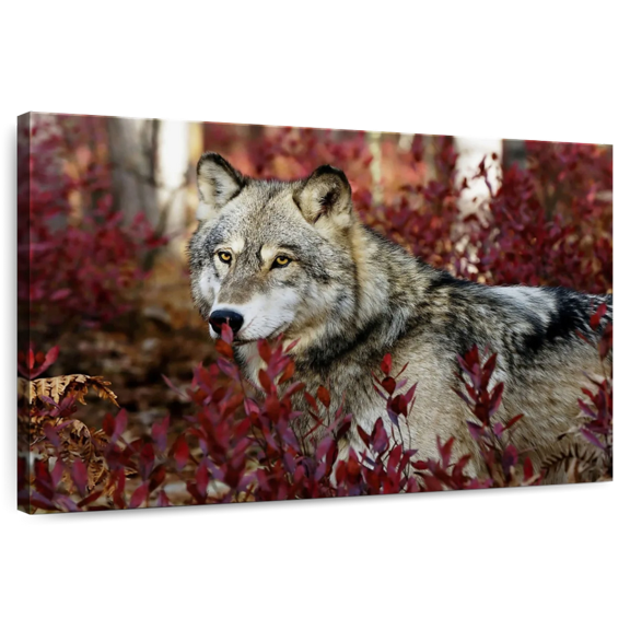 Elephant Stock Hiding Timber Wolf Wall Art - Horizontal Canvas Wall Art - Living Room Wall Decor - Animal Canvas - Brown And Gray Decor - 36" x 24"