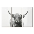 thumbnail image 1 of Elephant Stock Highland Bull I Wall Art - Horizontal Multi Panel Canvas - Living Room Wall Decor - Animal Multi Panel - Black And Gray Decor By Sisi And Seb - 23" x 14", 1 of 4