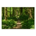 thumbnail image 1 of Elephant Stock Hoh Rainforest Path Wall Art - Horizontal Canvas Wall Art - Living Room Wall Decor - Nature Canvas - Green And Brown Decor - 48" x 32", 1 of 4