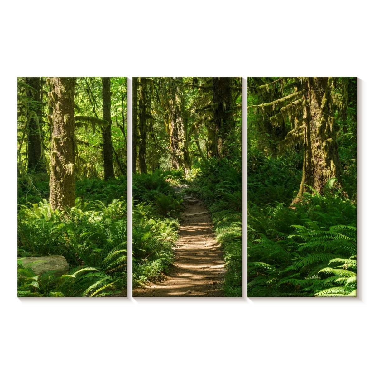 Elephant Stock Hoh Rainforest Path Wall Art - Horizontal Multi Panel ...