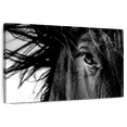 thumbnail image 1 of Elephant Stock Horse Up Close Wall Art - Horizontal Canvas Wall Art - Living Room Wall Decor - Photography Animal Canvas - Black And White Decor - 12" x 8", 1 of 8