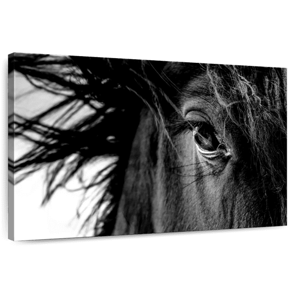Elephant Stock Horse Up Close Wall Art - Horizontal Canvas Wall Art - Living Room Wall Decor - Photography Animal Canvas - Black And White Decor - 12" x 8"