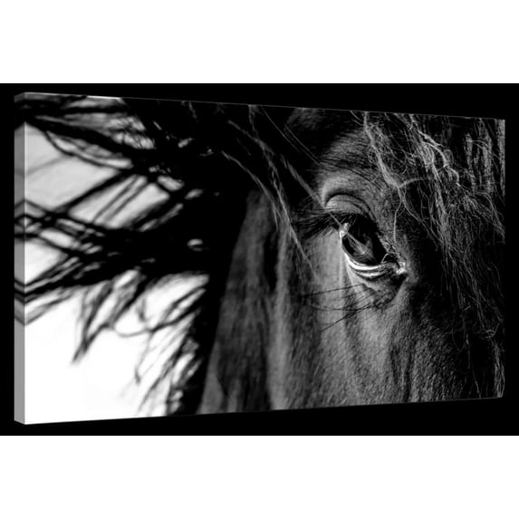 Elephant Stock Horse Up Close Wall Art - Horizontal Canvas Wall Art - Living Room Wall Decor - Photography Animal Canvas - Black And White Decor - 12" x 8"