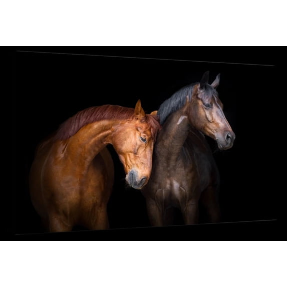 Elephant Stock Horse Duo Wall Art - Horizontal Canvas Wall Art - Living Room Wall Decor - Photography Animal Canvas - Brown And Red Decor - 45" x 30"