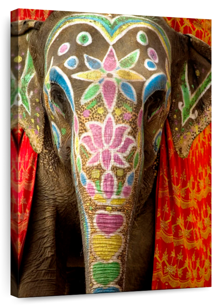 Elephant Stock Indian Festival Elephant Wall Art Vertical Canvas Wall