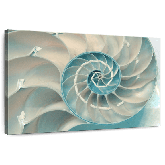 Elephant Stock Inside A Nautilus Shell Wall Art - Horizontal Canvas Wall Art - Living Room Wall Decor - Animal Canvas - Gray And Blue Decor - 12" x 8"