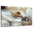 thumbnail image 1 of Elephant Stock Island Tide Pool Iii Wall Art - Horizontal Canvas Wall Art - Living Room Wall Decor - Nautical Canvas - White And Brown Decor By Alan Blaustein - 48" x 32", 1 of 8