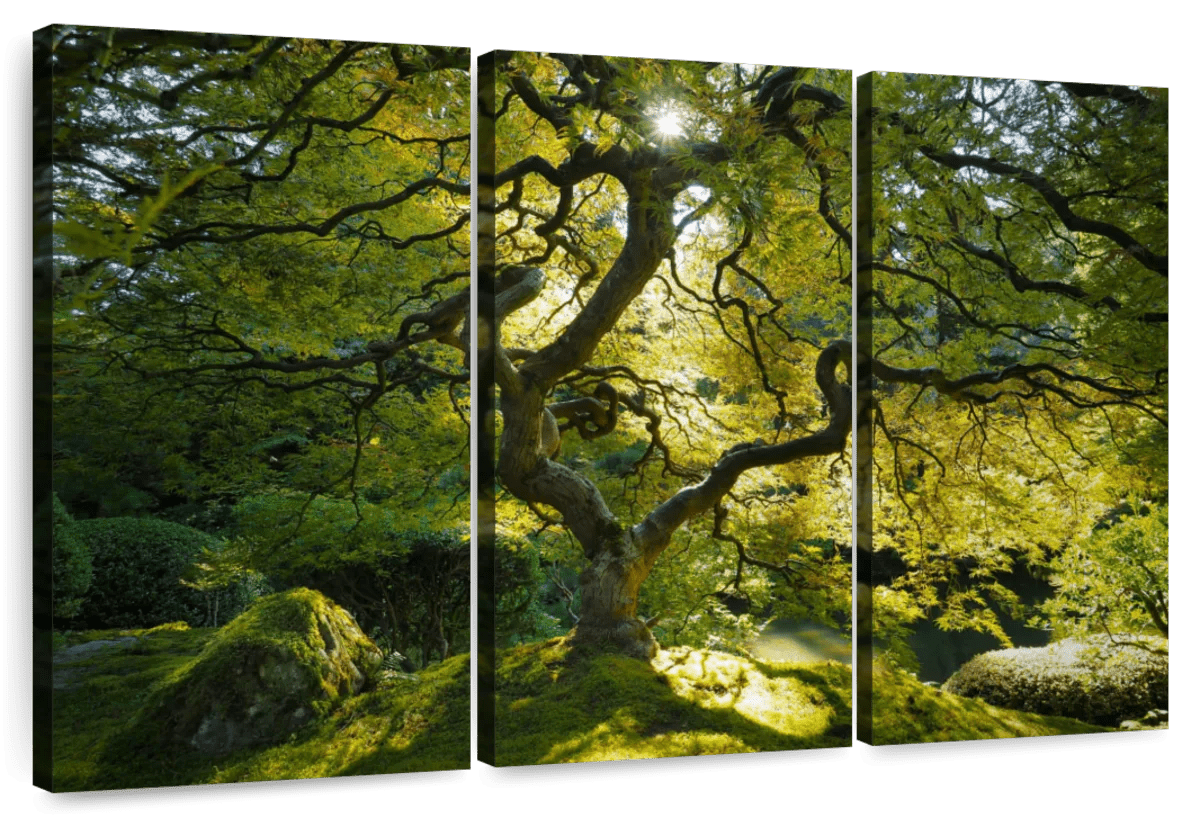 Elephant Stock Japanese Maple Garden Wall Art - Horizontal Multi Panel ...