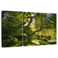 thumbnail image 1 of Elephant Stock Japanese Maple Garden Wall Art - Horizontal Multi Panel Canvas - Lobby Wall Decor - Floral And Botanical Multi Panel - Green And Brown Decor - 38" x 24", 1 of 8