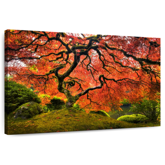 Elephant Stock Japanese Maple Wall Art - Horizontal Canvas Wall Art - Living Room Wall Decor - Floral And Botanical Canvas - Orange And Brown Decor - 39" x 26"