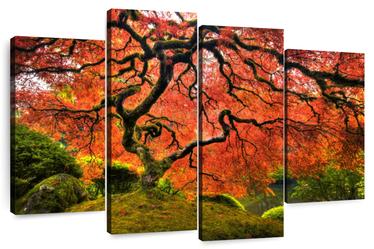 Elephant Stock Japanese Maple Wall Art - Horizontal Multi Panel Canvas ...