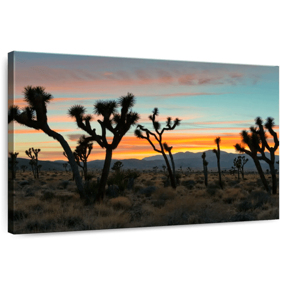 Elephant Stock Joshua Tree National Park Sunset Wall Art - Horizontal Canvas Wall Art - Living Room Wall Decor - Places Canvas - Blue And Orange Decor - 12" x 8"
