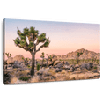 thumbnail image 1 of Elephant Stock Joshua Tree Patch Wall Art - Horizontal Canvas Wall Art - Living Room Wall Decor - Floral And Botanical Canvas - Orange And Beige Decor - 39" x 26", 1 of 8