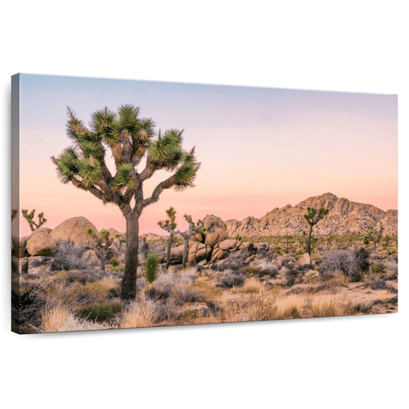 Elephant Stock Joshua Tree Patch Wall Art - Horizontal Canvas Wall Art - Living Room Wall Decor - Floral And Botanical Canvas - Orange And Beige Decor - 39" x 26"