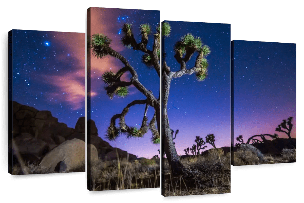 Elephant Stock Joshua Tree Under Starry Sky Wall Art - Horizontal Multi ...