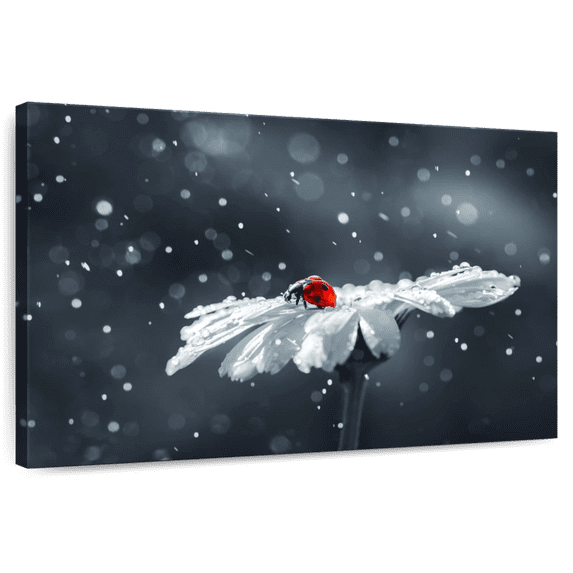 Elephant Stock Ladybug On Daisy Flower Wall Art - Horizontal Canvas Wall Art - Living Room Wall Decor - Floral And Botanical Canvas - Black And Gray Decor - 45" x 30"