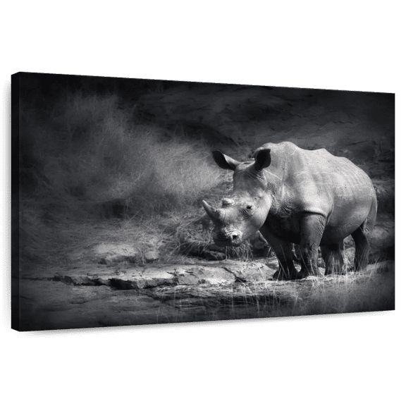 Elephant Stock Lake Rhino Wall Art - Horizontal Canvas Wall Art - Living Room Wall Decor - Animal Canvas - Gray And White Decor - 12" x 8"