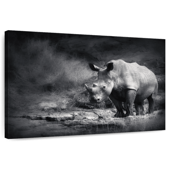 Elephant Stock Lake Rhino Wall Art - Horizontal Canvas Wall Art - Living Room Wall Decor - Animal Canvas - Gray And White Decor - 24" x 16"