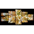 thumbnail image 1 of Elephant Stock Larvik Norway Autumn Forest Wall Art - Horizontal Multi Panel Canvas - 5 Pieceliving Room Wall Decor - Photography Nature Multi Panel - Brown And Orange Decor - 42" x 19", 1 of 4