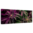 thumbnail image 1 of Elephant Stock Lavander Marijuana Wall Art - Horizontal Multi Panel Canvas - Living Room Wall Decor - Floral And Botanical Multi Panel - Black And Purple Decor - 26" x 12", 1 of 8