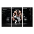thumbnail image 1 of Elephant Stock Lifting Barbell At The Gym Wall Art - Horizontal Multi Panel Canvas - Gym/sport Rooms Wall Decor - Sports Multi Panel - Black And Gray Decor - 45" x 28", 1 of 4