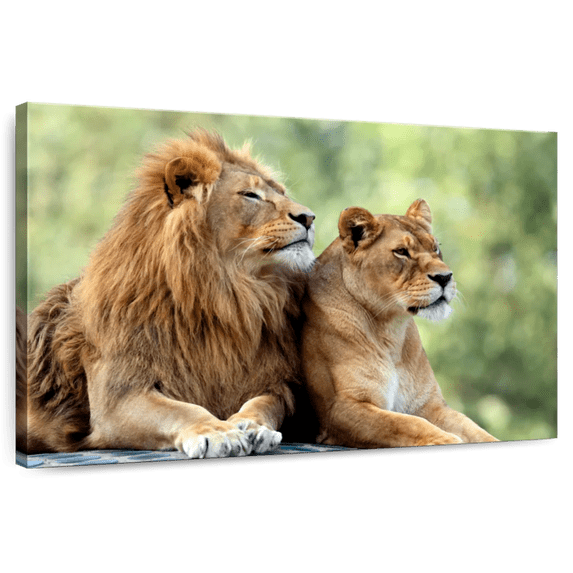 Elephant Stock Lion Couple Wall Art - Horizontal Canvas Wall Art - Living Room Wall Decor - Animal Canvas - Brown And Gray Decor - 48" x 32"