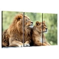 thumbnail image 1 of Elephant Stock Lion Couple Wall Art - Horizontal Multi Panel Canvas - Living Room Wall Decor - Animal Multi Panel - Brown And Gray Decor - 57" x 36", 1 of 8