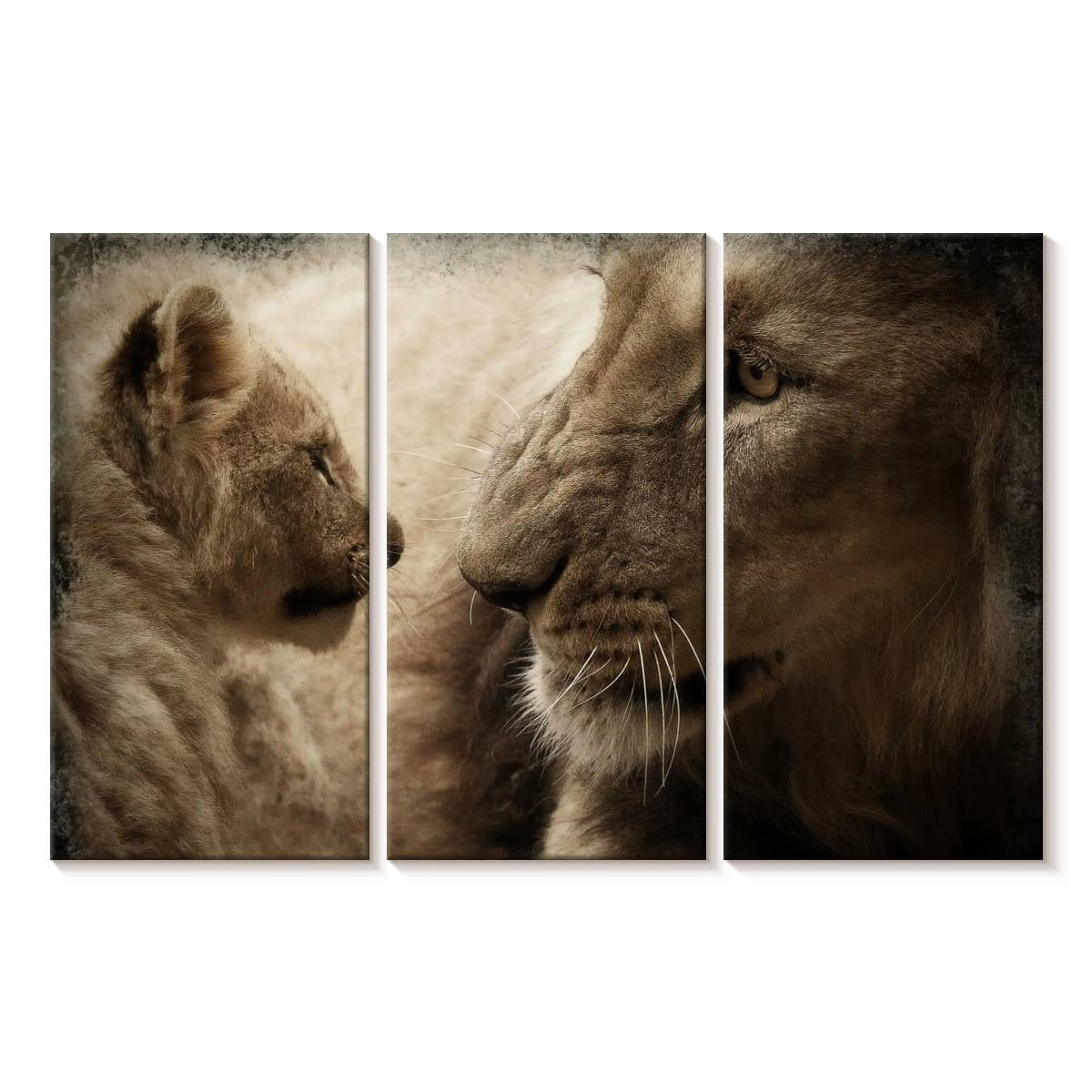 Elephant Stock Lion And His Cub Wall Art - Horizontal Multi Panel ...
