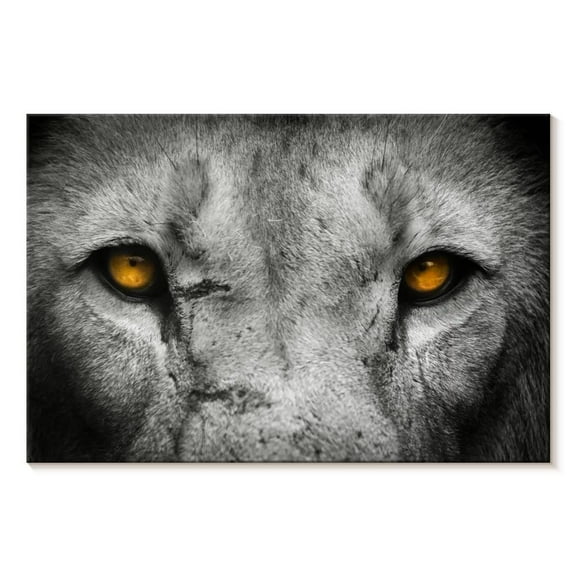 Elephant Stock Lion Eyes Pop Wall Art - Horizontal Canvas Wall Art - Living Room Wall Decor - Animal Canvas - Gray And Orange Decor - 12" x 8"