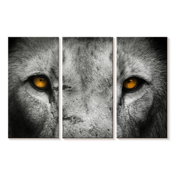 Elephant Stock Lion Eyes Pop Wall Art - Horizontal Multi Panel Canvas - Living Room Wall Decor - Animal Multi Panel - Gray And Orange Decor - 23" x 14"