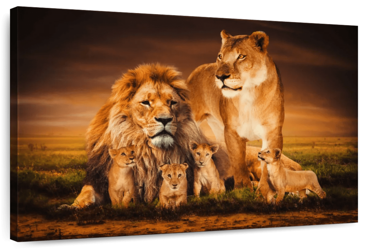 Elephant Stock Lion Family Wall Art - Horizontal Canvas Wall Art ...
