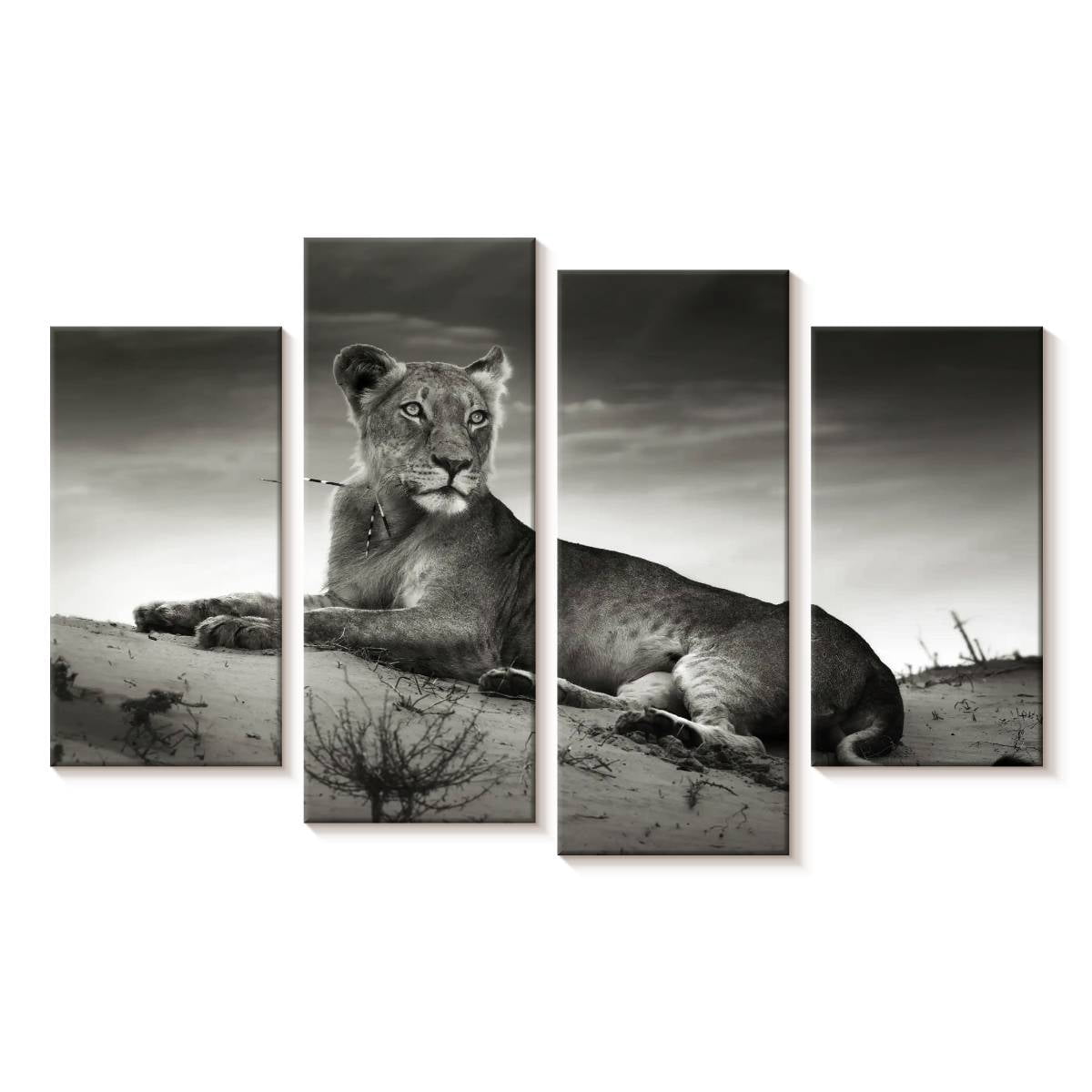 Elephant Stock Lioness Wall Art - Horizontal Multi Panel Canvas ...