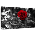 thumbnail image 1 of Elephant Stock Lone Rose Pop Wall Art - Horizontal Canvas Wall Art - Living Room Wall Decor - Floral And Botanical Canvas - Black And Gray Decor - 12" x 8", 1 of 8
