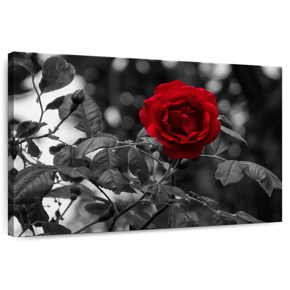 Elephant Stock Lone Rose Pop Wall Art - Horizontal Canvas Wall Art - Living Room Wall Decor - Floral And Botanical Canvas - Black And Gray Decor - 51" x 34"