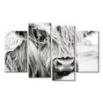 thumbnail image 1 of Elephant Stock Long Haired Cow Wall Art - Horizontal Multi Panel Canvas - Living Room Wall Decor - Animal Multi Panel - Gray And White Decor - 68" x 42", 1 of 4